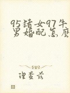95猪女97牛男婚配怎么样