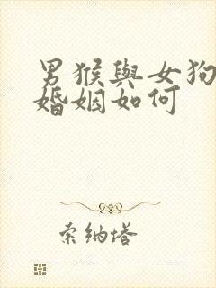 男猴与女狗相配婚姻如何