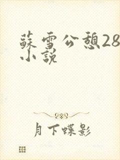 苏雪公憩28篇小说封面