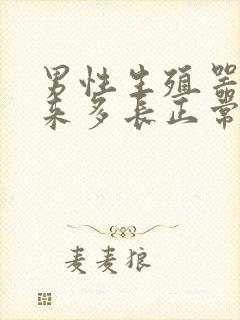 男性生殖器硬起来多长正常