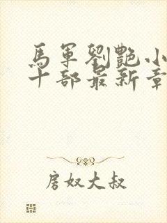 马军刘艳小说第十部最新章节封面