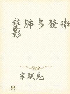 双肺多发微结节影