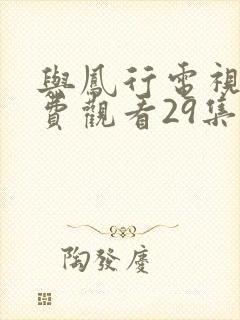 与凤行电视剧免费观看29集