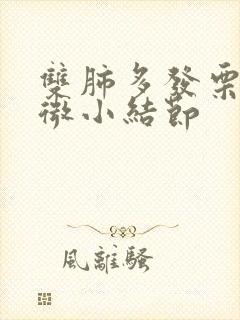 双肺多发栗粒状微小结节