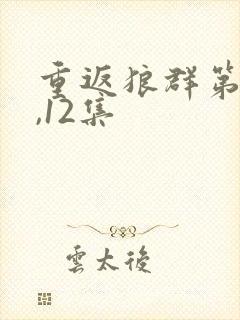 重返狼群第11,12集