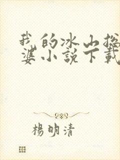 我的冰山总裁老婆小说下载