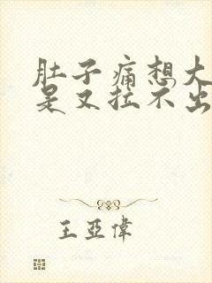 肚子痛想大便但是又拉不出来是什么原因