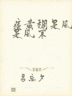 痰黄稠是风热还是风寒