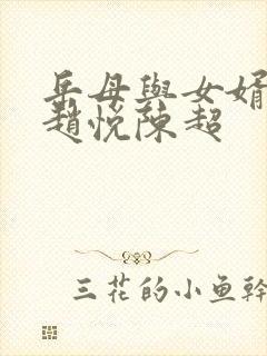 岳母与女婿小说赵悦陈超