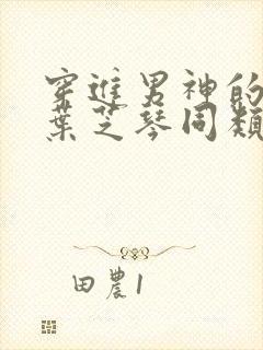 穿进男神的梦里叶芝琴同类小说封面