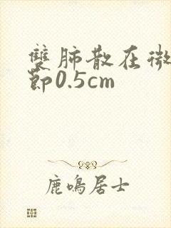 双肺散在微小结节0.5cm