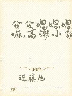 公公嗯嗯嗯我要嘛,高潮小说嗯嗯嗯嗯嗯嗯