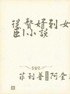 从赘婿到女帝宠臣l小说封面