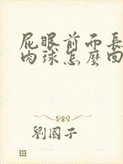 屁眼前面长个小肉球怎么回事封面