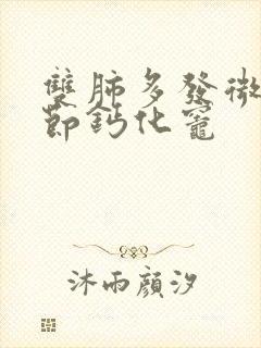 双肺多发微小结节钙化灶