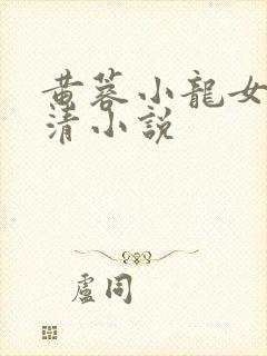 黄蓉小龙女左剑清小说