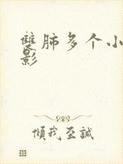 双肺多个小结节影