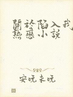 关于陷入我们的热恋小说封面