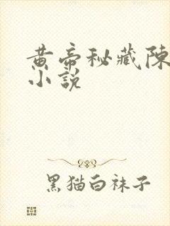 黄帝秘藏陈启的小说