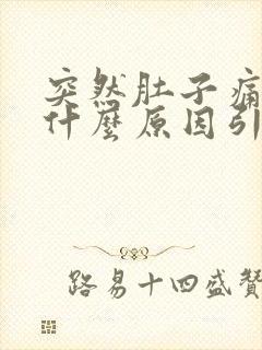 突然肚子痛呕吐什么原因引起的