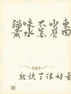 猫咪不吃东西吐黄水怎么回事