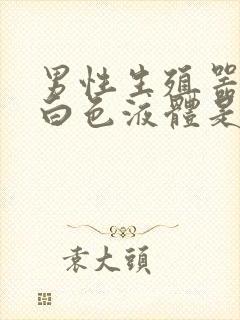 男性生殖器流出白色液体是什么原因