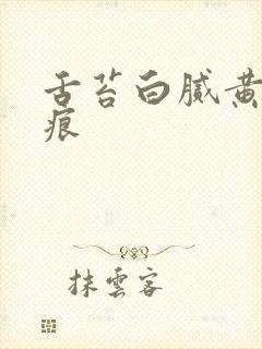 舌苔白腻黄有齿痕