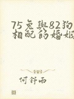 75兔与82狗相配的婚姻如何封面