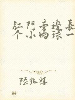 肛门旁边长了一个小肉球一碰就疼封面