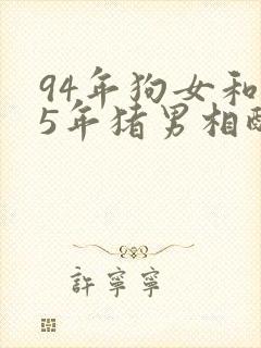 94年狗女和95年猪男相配吗封面