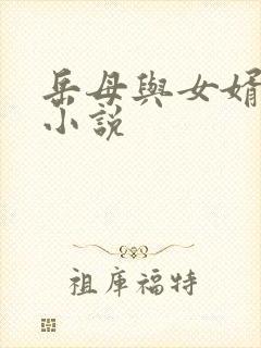 岳母与女婿通奸小说