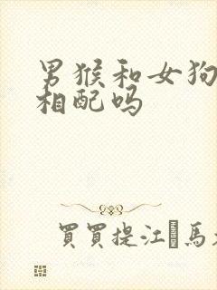 男猴和女狗婚姻相配吗