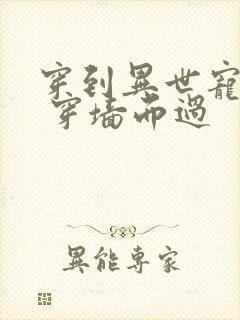 穿到异世宠夫郎 穿墙而过