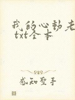 我的心动老板娘 txt全本