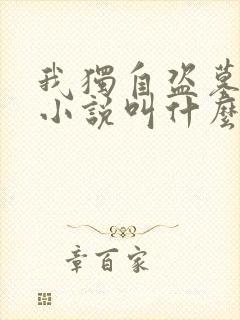 我独自盗墓原著小说叫什么