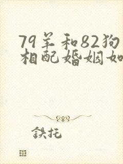 79羊和82狗相配婚姻如何