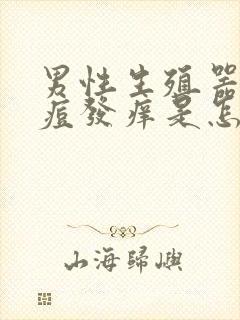 男性生殖器上长痘发痒是怎么回事