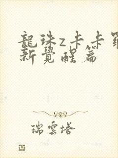 龙珠z卡卡罗特新觉醒篇