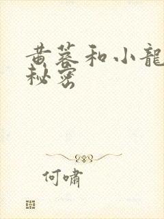 黄蓉和小龙女的秘密封面