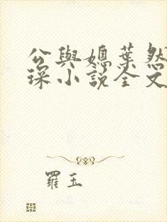 公与媳叶然严临琛小说全文免费阅读封面