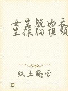 女生脱内衣给男生揉胸视频