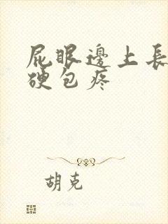 屁眼边上长了个硬包疼