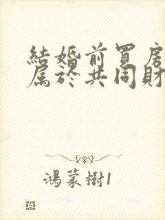 结婚前买房子是属于共同财产吗