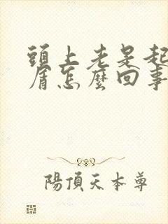 头上老是起头皮屑怎么回事封面