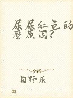 尿尿红色的是什么原因?