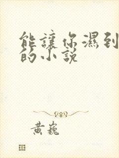 能让你湿到不行的小说