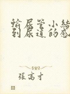 输尿管小结石排到尿道的感觉封面