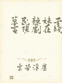 草民辣妹子影视电视剧在线观看免费封面