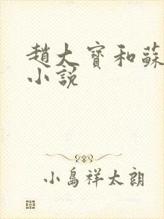 赵大宝和苏媚的小说