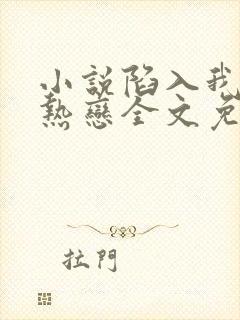 小说陷入我们的热恋全文免费阅读